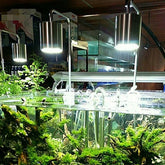 XINMA LED LIGHT 7W WHITE